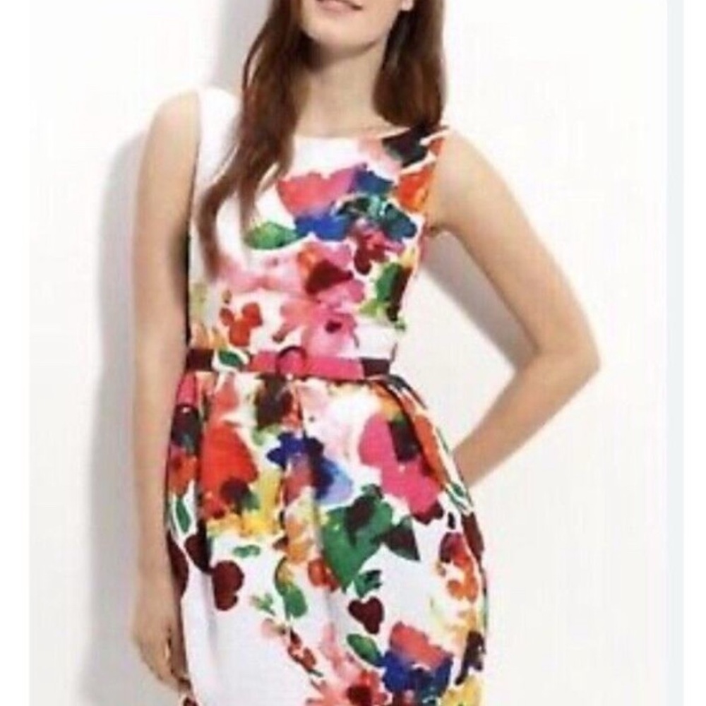 Eliza J. Size 10 Belted Sleeveless Watercolor Floral Dress